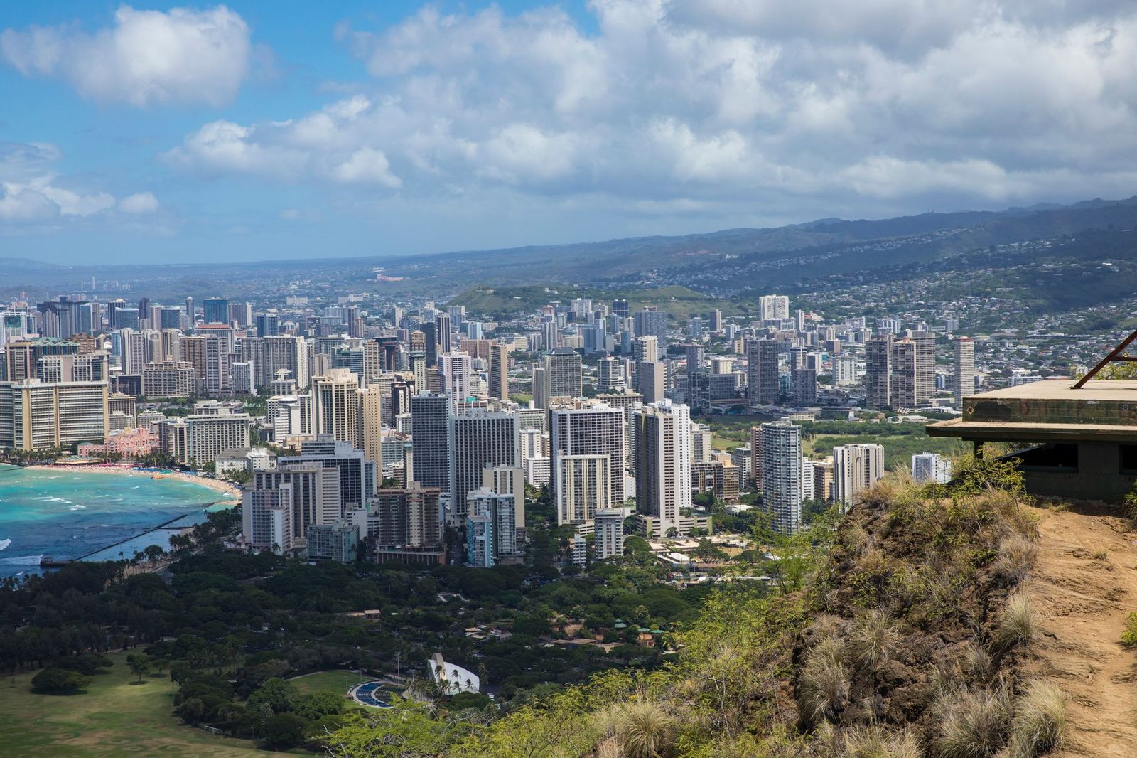 The Honolulu skyline and the ocean beyond it, seen from a hillside overlook