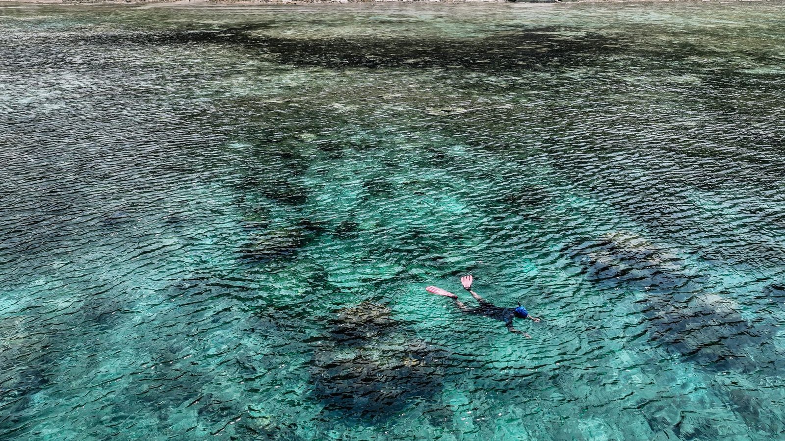 A snorkeller swimming over a shallow coral reef in clear turquoise water
